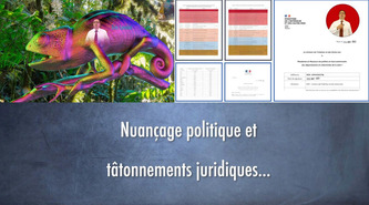 Nuançage politique et tâtonnements juridiques… [VIDEO et article] | Elections municipales 2026 | Scoop.it