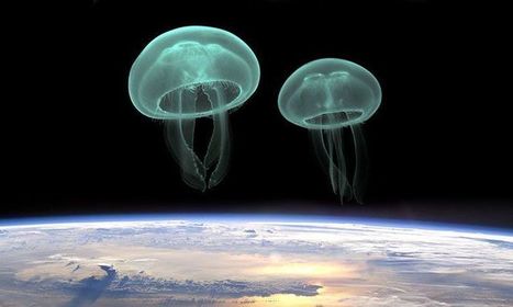 Les méduses nées dans l’espace ne supportent pas la gravité de la Terre… Il en est de même pour l’Homme | @ZeHub | Scoop.it