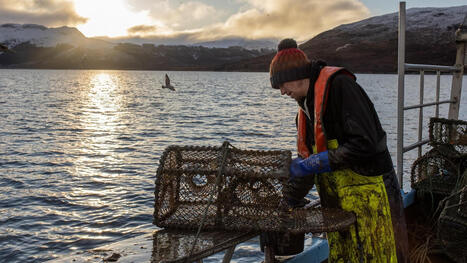ENVIRONMENT: The fishing practice of scrapping ocean bottom continues despite protection promises | DURABILITES | Scoop.it