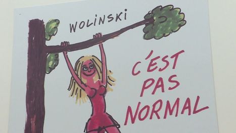 Col&egrave;re et incompr&eacute;hension du centre de dessin de presse &agrave; St-Just-le-Martel | DocPresse ESJ Lille | Scoop.it