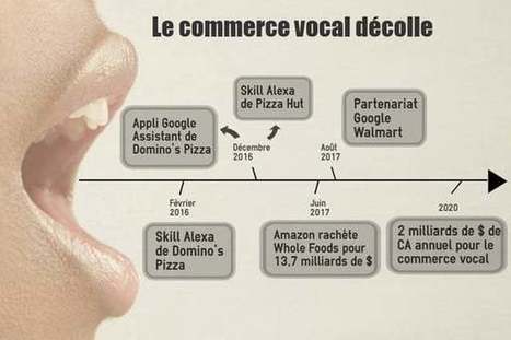 Le commerce vocal sur la voie (rapide) d'un CA de 2 milliards de dollars | Assistant Personnel Vocal | Scoop.it