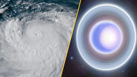 Science news this week: Black holes galore and blue whales that still sing | Industry 411 - Waste Management | Scoop.it