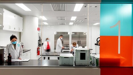 Why precision fermentation is set to power the future of food innovation | Innovation Agro-activit&eacute;s et Bio-industries | Scoop.it