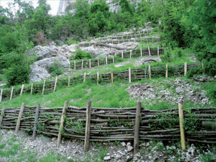 &ldquo;Face aux inondations, beaucoup d&rsquo;&eacute;lus penchent pour le g&eacute;nie civil plus que pour le g&eacute;nie v&eacute;g&eacute;tal&rdquo; | Diagnonal | La SELECTION du Web | CAUE des Vosges - www.caue88.com | Scoop.it