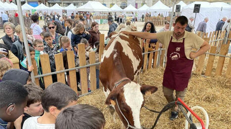 Producteurs, mini-ferme, dégustations… Les agriculteurs s’installent en centre-ville du Mans - Ouest France | Agriculture et communication positive | Scoop.it