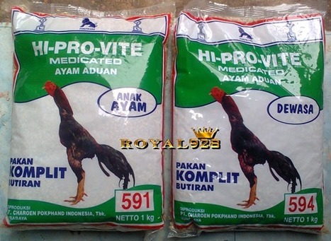 Makanan Ayam Pabrikan Untuk Ternak Ayam Bangkok