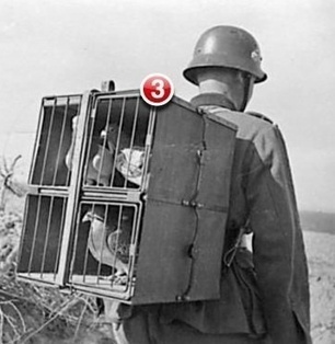 Crossbar, le futur des applications Web Python ? | Algos | Scoop.it