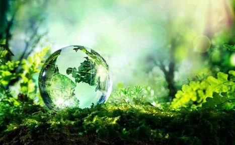 L'Ecosystème Israélien Des Start-Ups Au Service Du Climat - Forbes | Pour innover en agriculture | Scoop.it