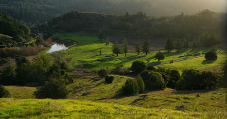 Californie. Comment rendre un golf à la nature | Tourisme Durable - Slow | Scoop.it