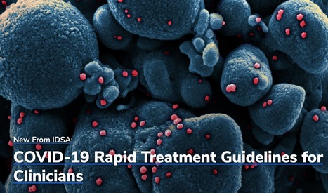 Infectious Diseases Society of America Guidelines on the Treatment and Management of Patients with COVID-19 | Immunology and Biotherapies | Scoop.it