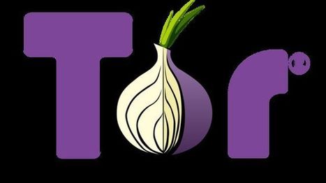 "Tor no comete crímenes, los cometen los criminales": la defensa del creador de la puerta de entrada a la red oscura de internet | E-Learning, M-Learning | Scoop.it
