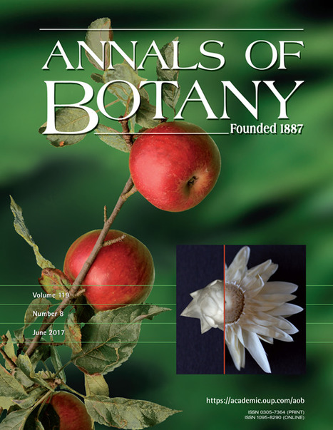 Annals of Botany - Volume 119 Issue 8 -&nbsp;Oxford Academic | Biodiversit&eacute; | Scoop.it