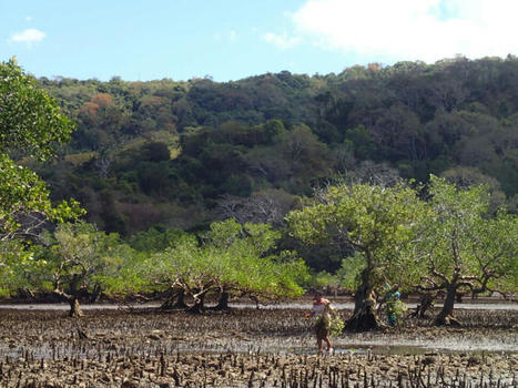 Appel à projets Biodiv’Eco - 7 projets lauréats alliant développement économique et préservation de la biodiversité. | Biodiversité | Scoop.it