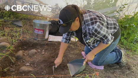 Archaeological field school offers First Nations students hands-on experience | CBC.ca | Indigenous Stories and Education | Scoop.it