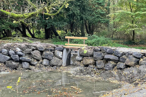 Lutte contre les inondations à Molenbaix : "Avec ou sans convention, l'efficacité du dispositif ne change pas" - La DH/Les Sports+ | Ecodéveloppement territorial | Scoop.it