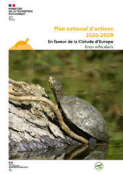 Plan national d’actions 2020-2029 en faveur de la Cistude d’Europe | Biodiversité | Scoop.it
