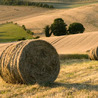 Paysage - Agriculture