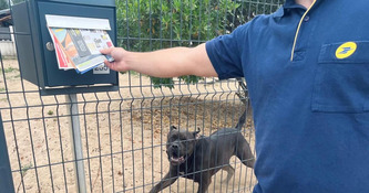 "Un chien reste toujours un peu impr&eacute;visible" : pour prot&eacute;ger ses facteurs, La Poste sensibilise les propri&eacute;taires - ICI | Landes - Conseils municipaux & communautaires | Scoop.it