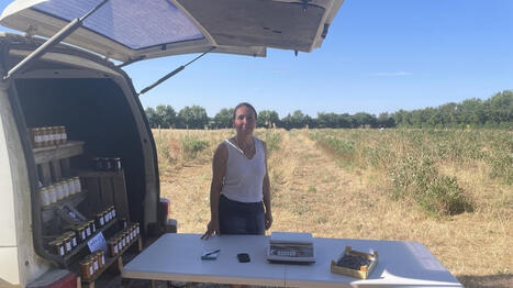 &laquo;&nbsp;Les consommateurs qui viennent cueillir leurs myrtilles ici trouvent qu&rsquo;elles ont plus de go&ucirc;t que dans le commerce&nbsp;&raquo; - Ouest France [Abonn&eacute;s] | Agriculture et communication positive | Scoop.it