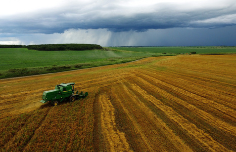 Russia’s grain harvest exceeds 120 mln tonnes | CONFLIT RUSSO-UKRAINIEN | Scoop.it