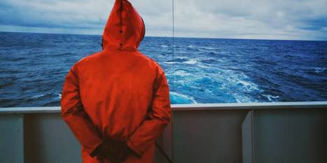 Petit Navire : #bad #buzz apr&egrave;s &ldquo;Cash Investigation&rdquo; | Gestion de crise | Scoop.it