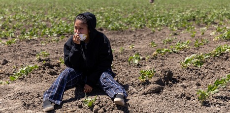 US: As hunger rises, Trump administration&rsquo;s &lsquo;efficiency&rsquo; goals cause massive food waste | AM&Eacute;RIQUES | Scoop.it