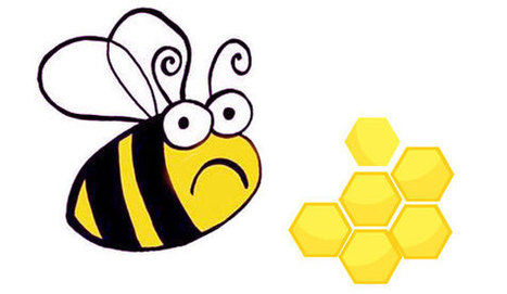 EU: 2014 could be the year we save the bees | SumOfUs.org | @The Convergence of ICT, the Environment, Climate Change, EV and HEV Transportation & Distributed Renewable Energy | Scoop.it