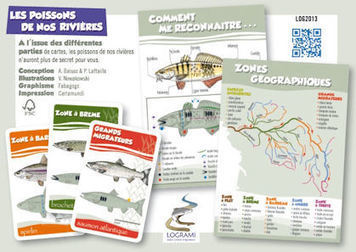 Les poissons de nos rivi&egrave;res | Veille &Eacute;ducative - L'actualit&eacute; de l'&eacute;ducation en continu | Scoop.it