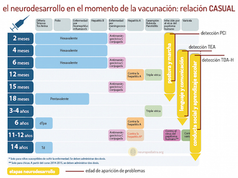 vacunas y daño cerebral | Immunology for University Students | Scoop.it