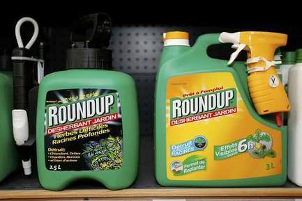 L’Autorité européenne de sécurité des aliments ose affirmer que le glyphosate n’est pas cancérigène | EntomoNews | Scoop.it