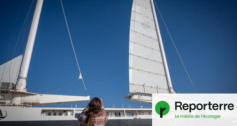 COMMERCE: Les cargos à voiles peinent à convaincre les géants du secteur | COMMERCE & LOGISTIQUE | Scoop.it