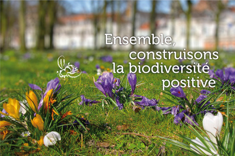 Biodiversité positive | ECOLOGIE - ENVIRONNEMENT | Scoop.it