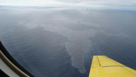 Hibernia fined $400K for 2019 oil spill off N.L. | CBC News / le 01.08.2023 | Pollution accidentelle des eaux (+ déchets plastiques) | Scoop.it