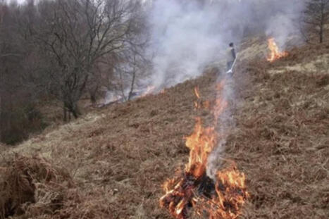 Hautes-Pyr&eacute;n&eacute;es - S&eacute;cheresse : les &eacute;cobuages et les br&ucirc;lages &agrave; l&rsquo;air libre interdits jusqu&rsquo;au 31 octobre | Vall&eacute;es d'Aure & Louron - Pyr&eacute;n&eacute;es | Scoop.it