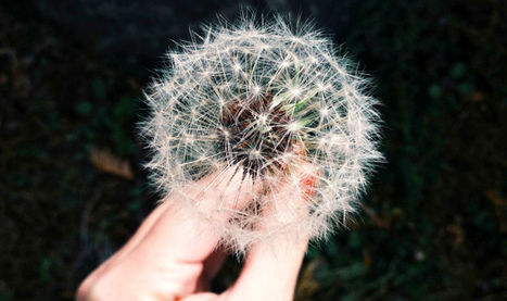 How France&rsquo;s Open Data Team Is Modernizing The French Government Through Data | TechCrunch | Peer2Politics | Scoop.it