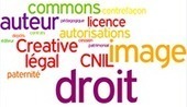 Droits et devoirs liés à la publication | information analyst | Scoop.it
