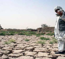 Changement climatique en Algérie : L’impact sur le rendement agricole - L'Actualité | Gestion Durable des Ressources | Scoop.it