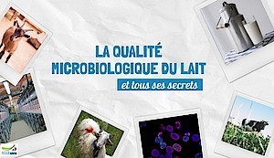 La qualit&eacute; microbiologique du lait | Actualit&eacute;s de l'&eacute;levage | Scoop.it