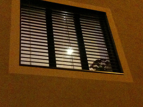 Interview de Joffrey : Une nouvelle maison domotis&eacute;e &agrave; Lille | ToutelaDomotique.com | Build Green, pour un habitat &eacute;cologique | Scoop.it