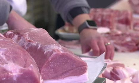 Luxembourg - Scandale à Bastogne: 1.400 bovins originaires du Luxembourg ont été abattus à Bastogne | La Gazette des abattoirs | Scoop.it