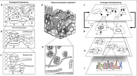 Emergent bioengineering | cin | RMH | Scoop.it