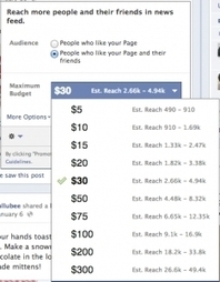 Facebook Pages Are a Bad Investment for Small Businesses - Forbes | Latest Social Media News | Scoop.it