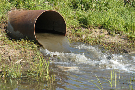 Egypt Will Reuse Treated Wastewater in Agriculture | Egyptian Streets | CIHEAM Press Review | Scoop.it