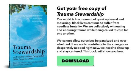 Enjoy a Complimentary Copy of Trauma Stewardship - An Everyday Guide to Caring for Self While Caring for Others by Laura van Dernoot Lipsky  | iGeneration - 21st Century Education (Pedagogy & Digital Innovation) | Scoop.it