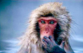 Oops, My Bad! 5 Ways Your Business Can Improve by Admitting to Mistakes | Failure and Learning | Scoop.it