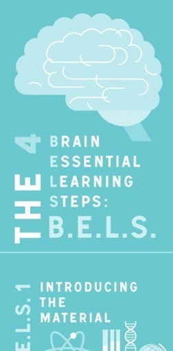 Brain Essential Learning Steps For Preschoolers Infographic | E-Learning-Inclusivo (Mashup) | Scoop.it