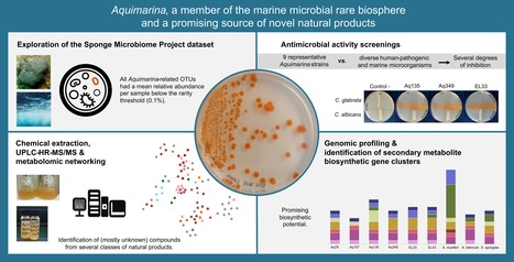 Antimicrobial Activities and Metabolomes of Aquimarina from the Rare Marine Biosphere | iBB | Scoop.it