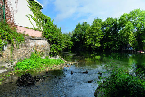 Quand les rivières coulent de nouveau à ciel ouvert en ville | veille territoriale | Scoop.it