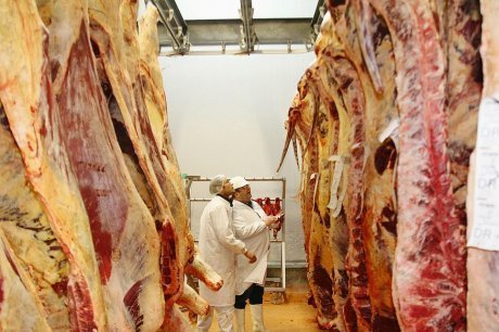 Anglet : du halal bientôt à l'abattoir ? | Stopper le fascisme gauchiste & le nazislamisme | Scoop.it