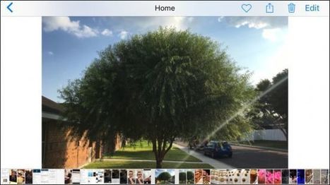 How to Convert Your iPhone’s Live Photos to Still Photos | iPads, MakerEd and More  in Education | Scoop.it